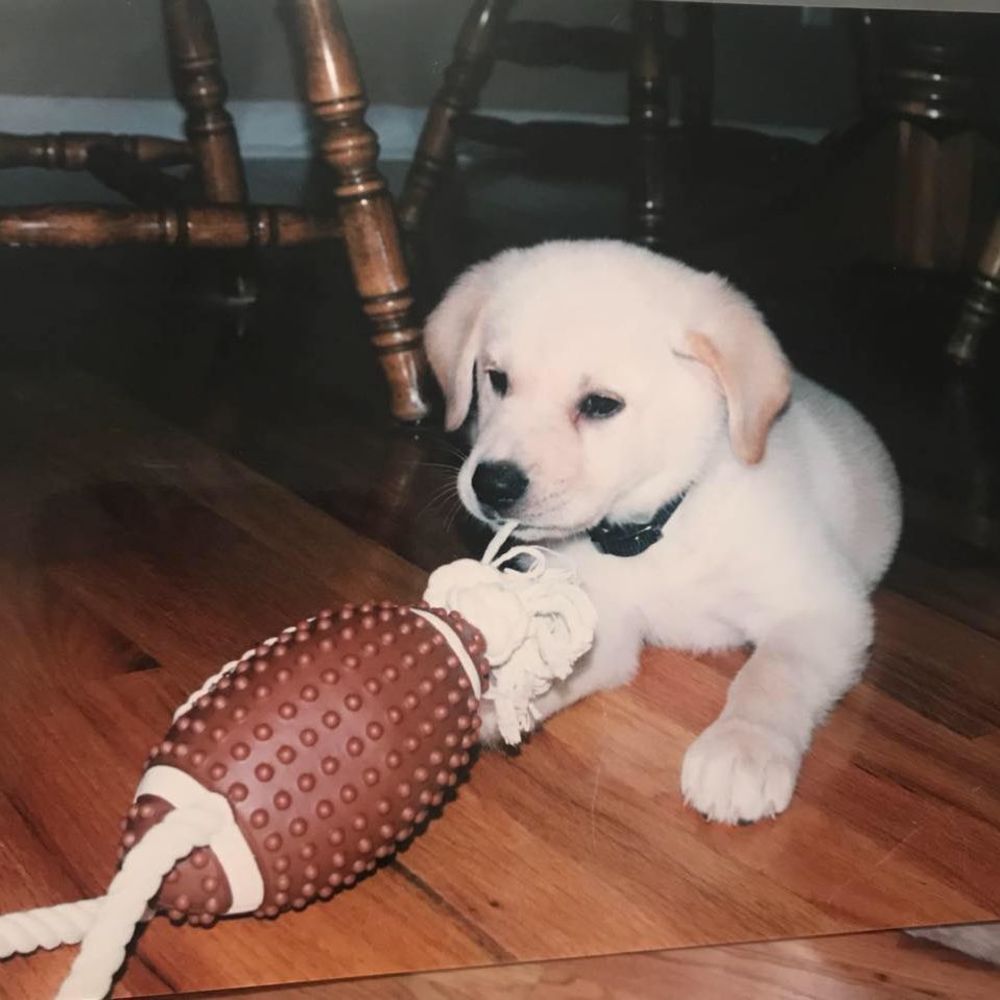 Meet your Posher, Sierra